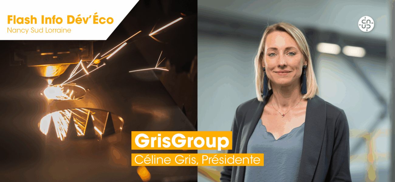lorrup actualites Article Flash Info GrisGroup copie 222 Lorr'Up Accompagner et faciliter le développement économique lorrup actualites article flash info grisgroup copie 222