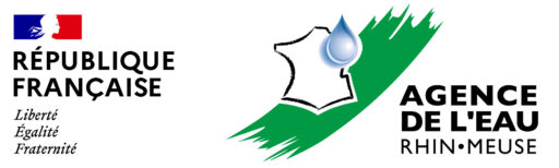 logo aesn