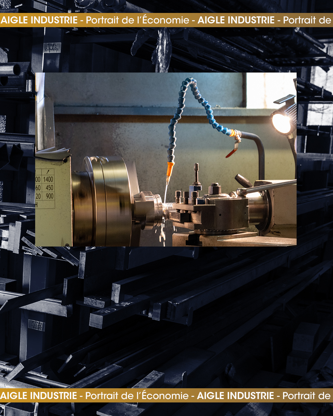 Portrait Aigle Industrie