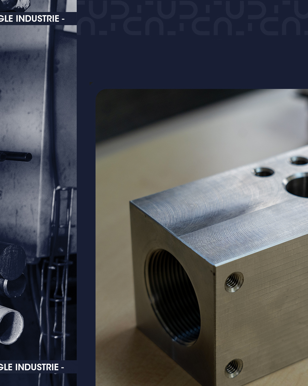 Portrait Aigle Industrie