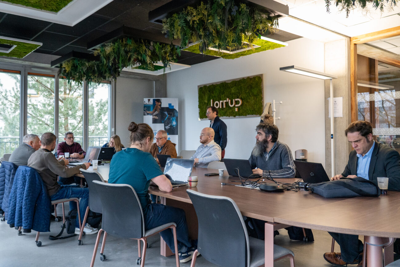 Filière laine de mouton